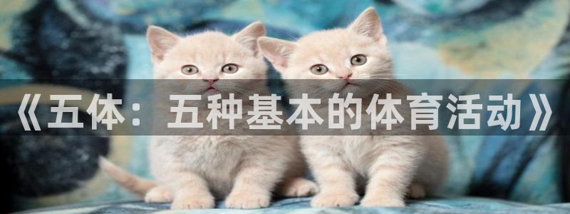 vsport体育在线官网