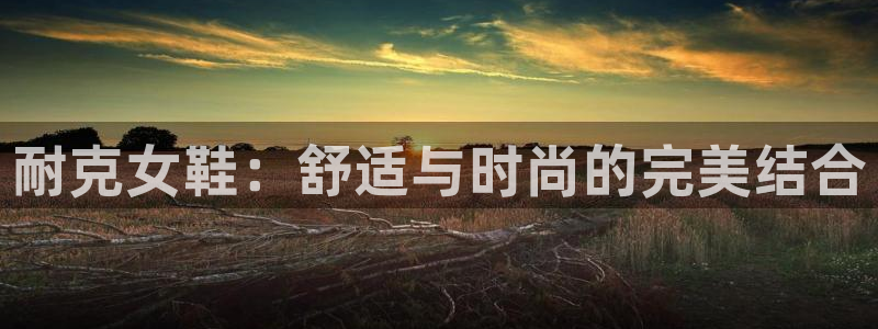 vsport体育在线官网