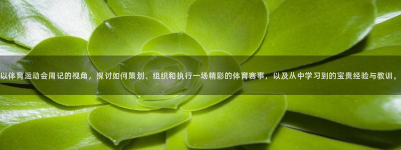 vsport体育在线官网
