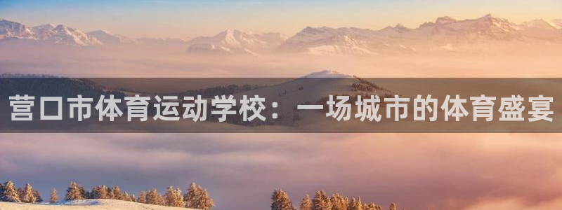 vsport体育在线官网