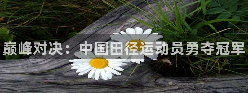 vsport体育在线官网