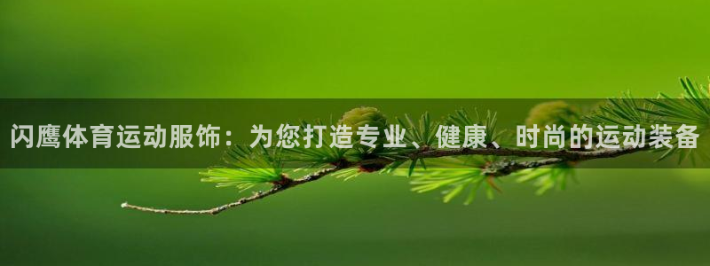 vsport体育在线官网