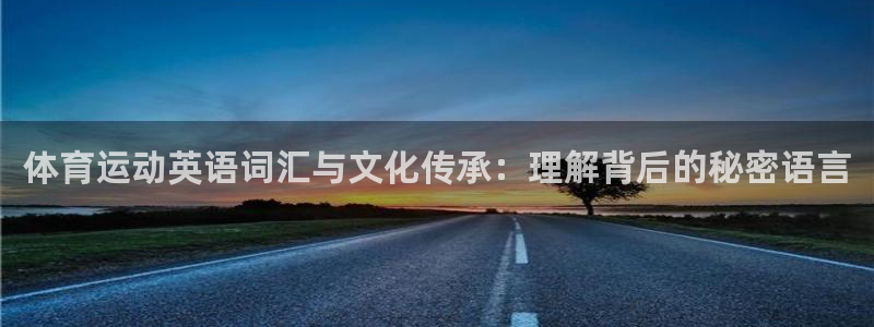 vsport体育
