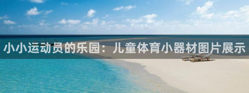 vsport体育在线官网