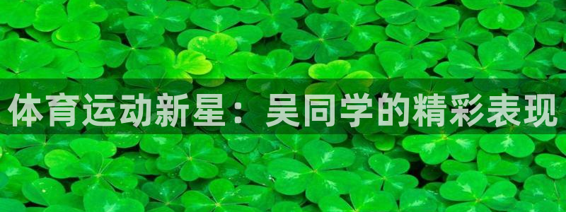 vsport体育在线官网