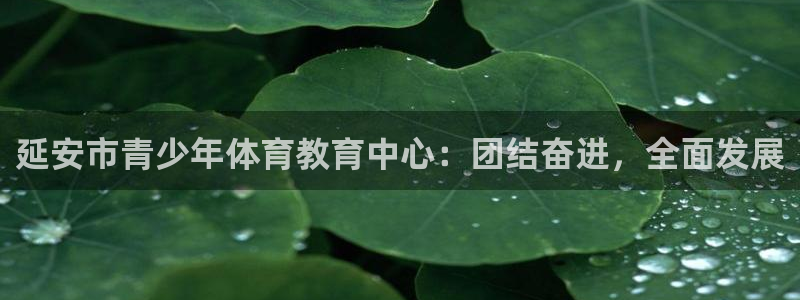 vsport体育在线官网